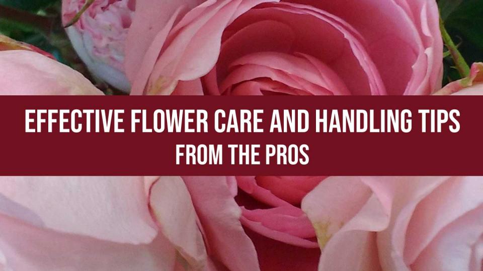 flower care