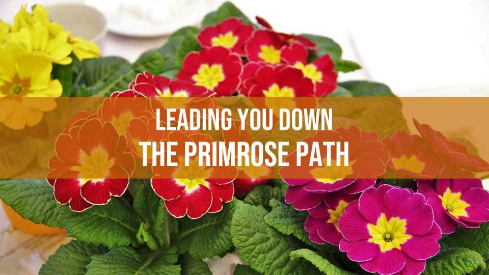 primrose-path