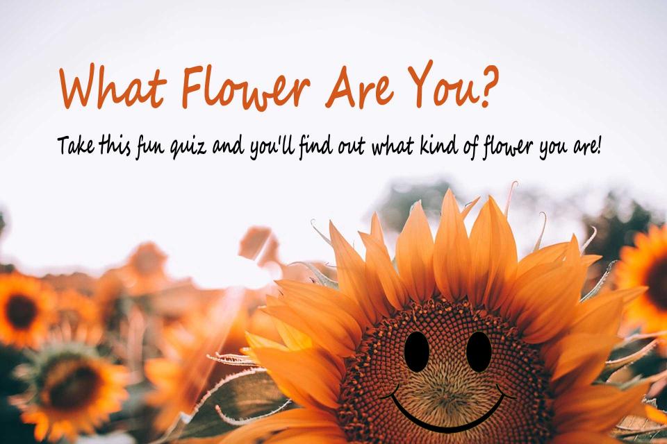 flower quiz