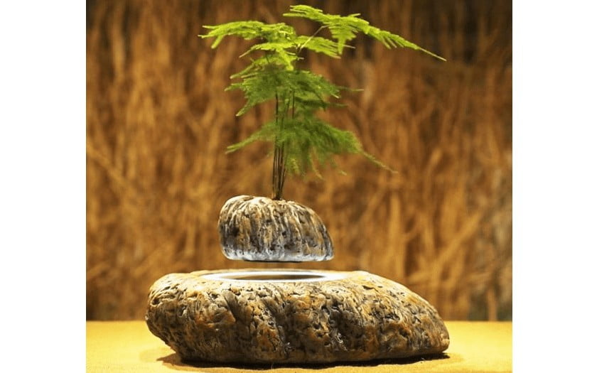 levitating bonsai pot