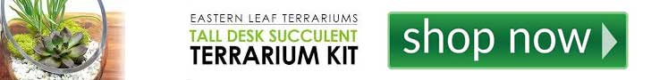 terrarium kit