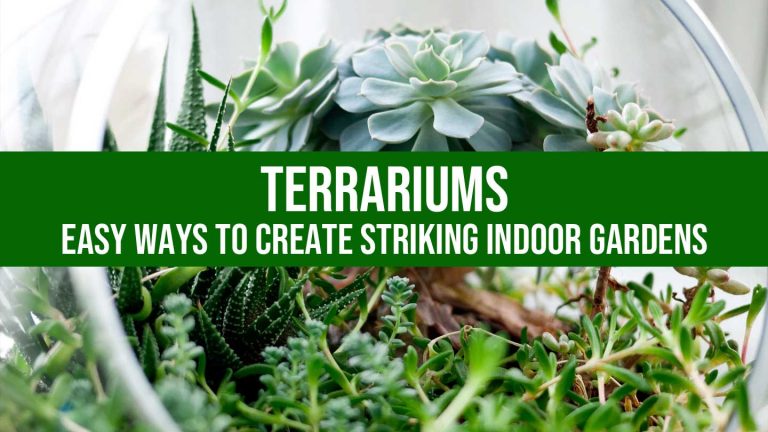 terrariums