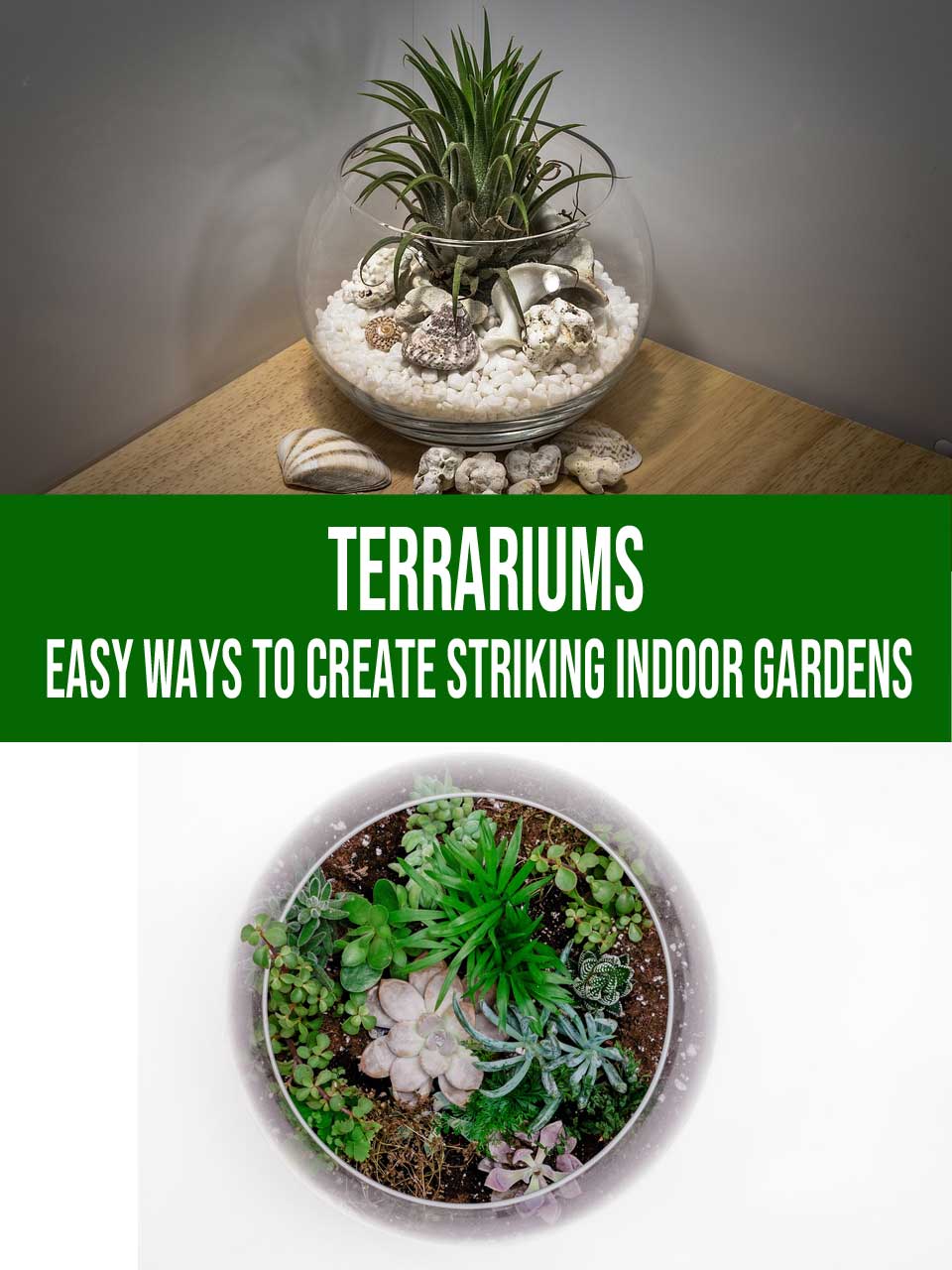 terrariums