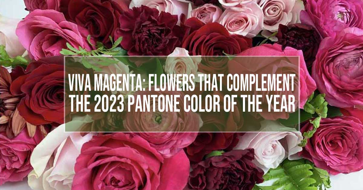 https://flowersfloralflorist.com/blog/wp-content/uploads/2018/01/viva-magenta-wedding-flowers-fi.jpg