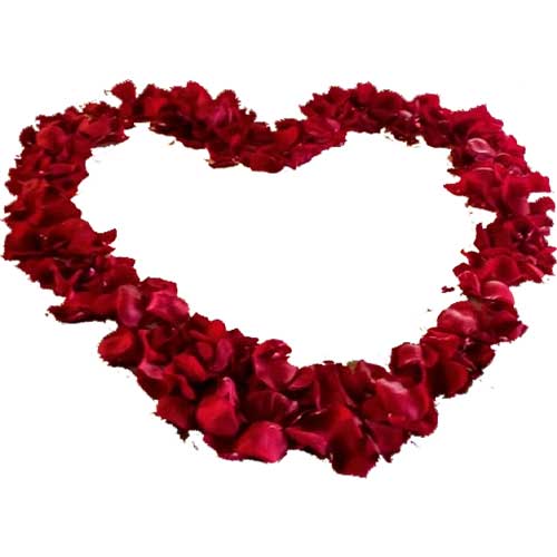 heart of red rose petals