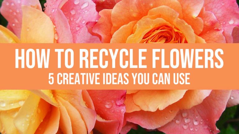 recycle flowers