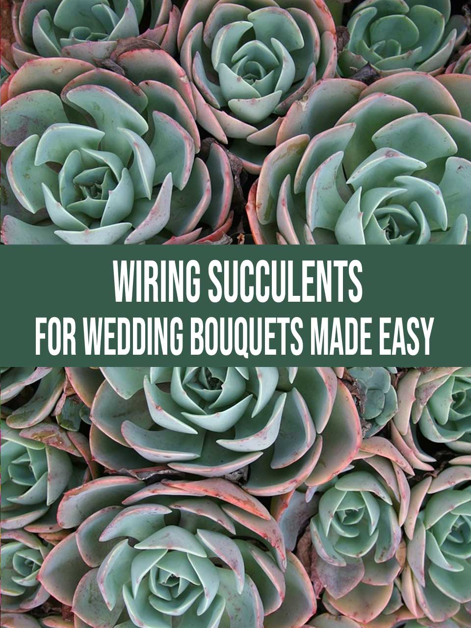 wiring succulents