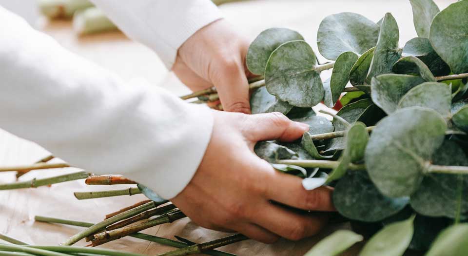 eucalyptus wreath