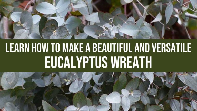 eucalyptus wreath