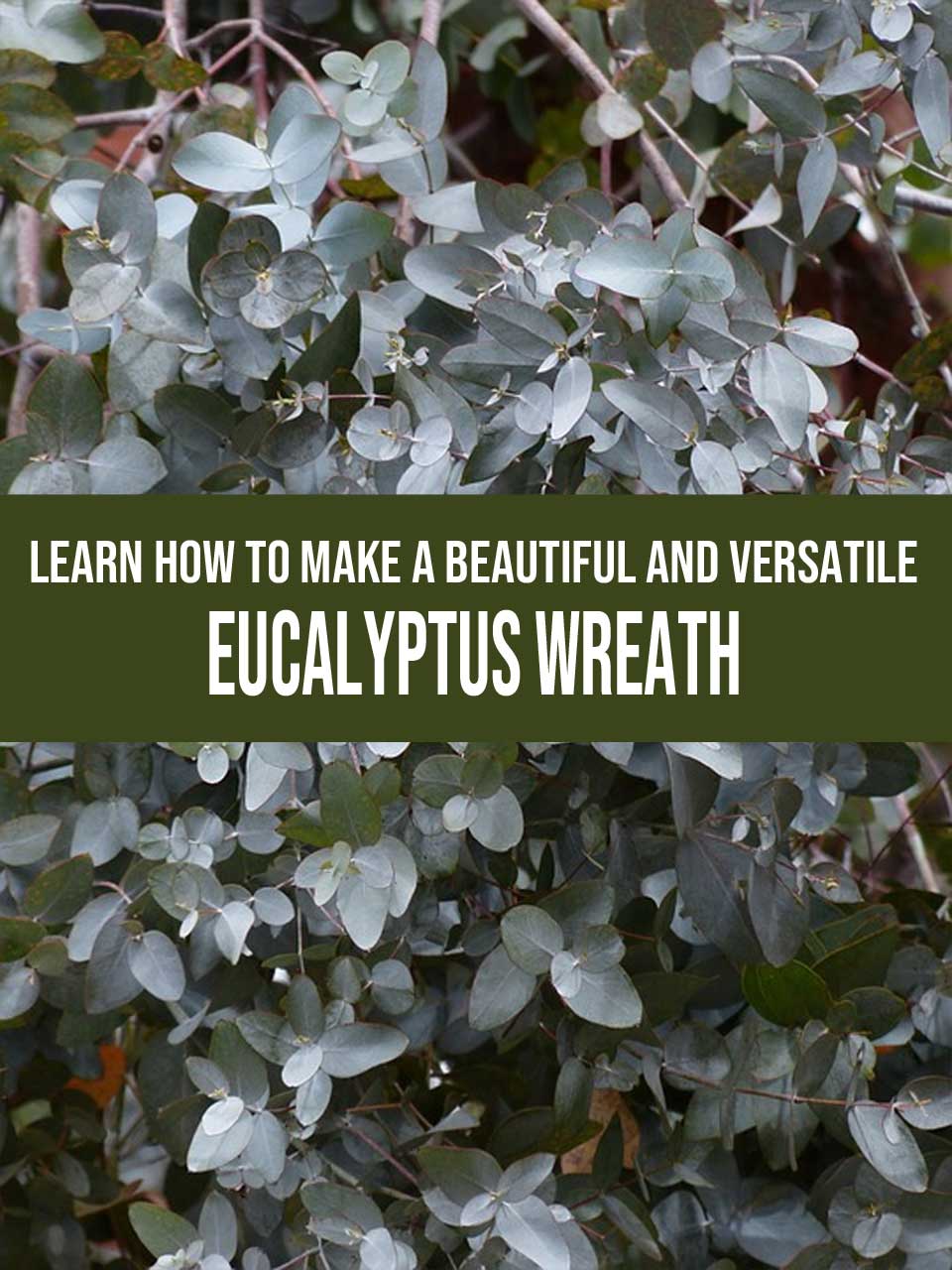 eucalyptus wreath