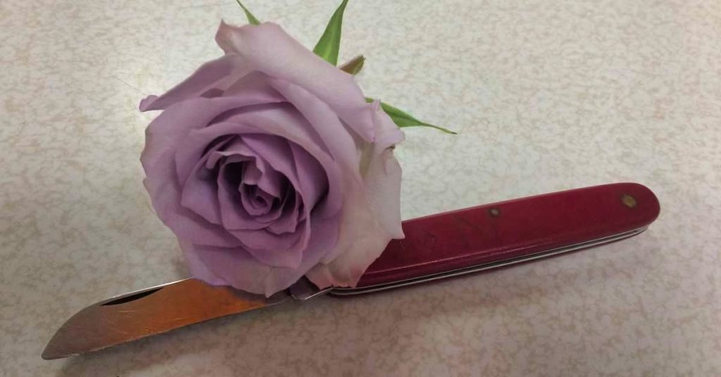 floral knife