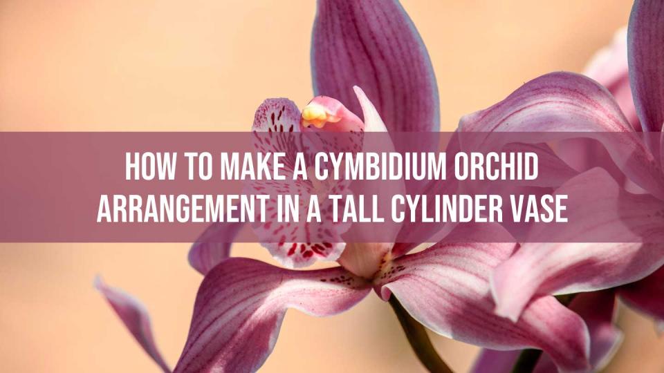 Cymbidium Orchid Arrangement
