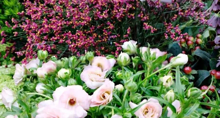 processing fresh flowers