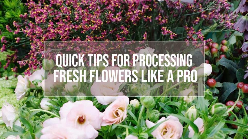 processing fresh flowers