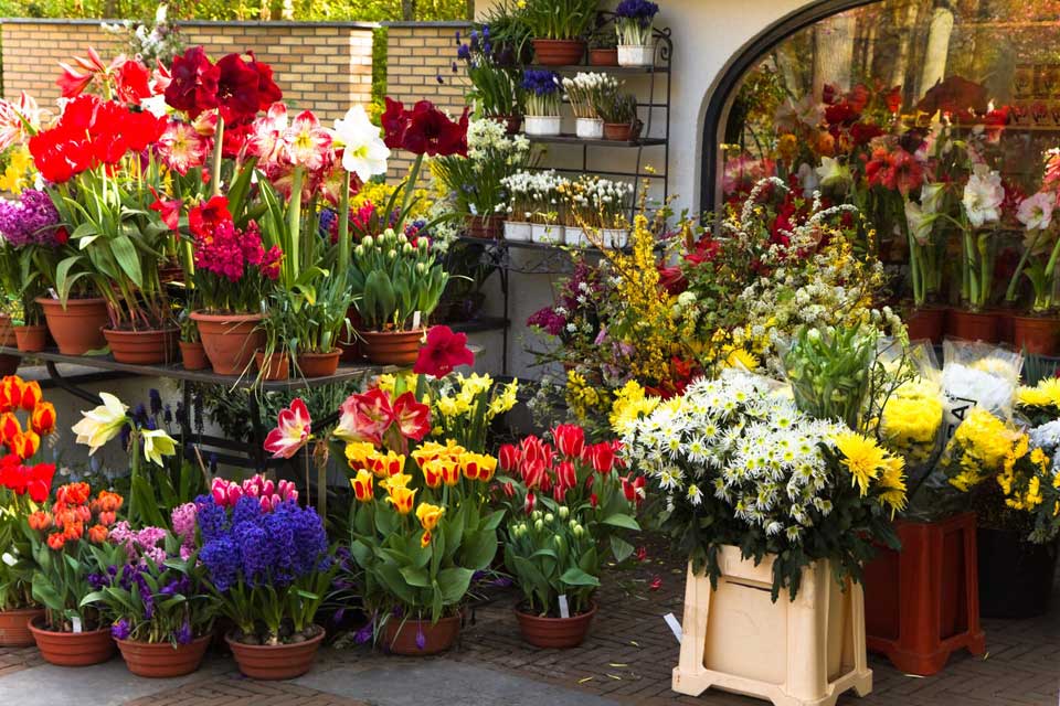 How to Find a Great Local Florist Online