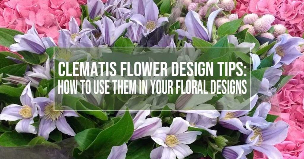 clematis flower design tips