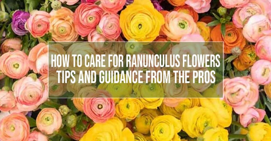 Effective Cut Flower Care – Pro Tips And Techniques