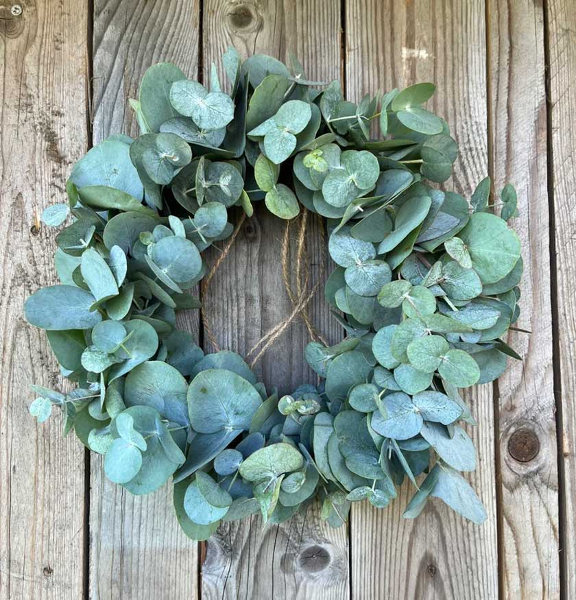 diy eucalyptus wreath