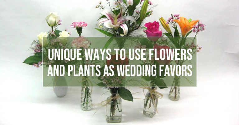 flower and plant wedding favors