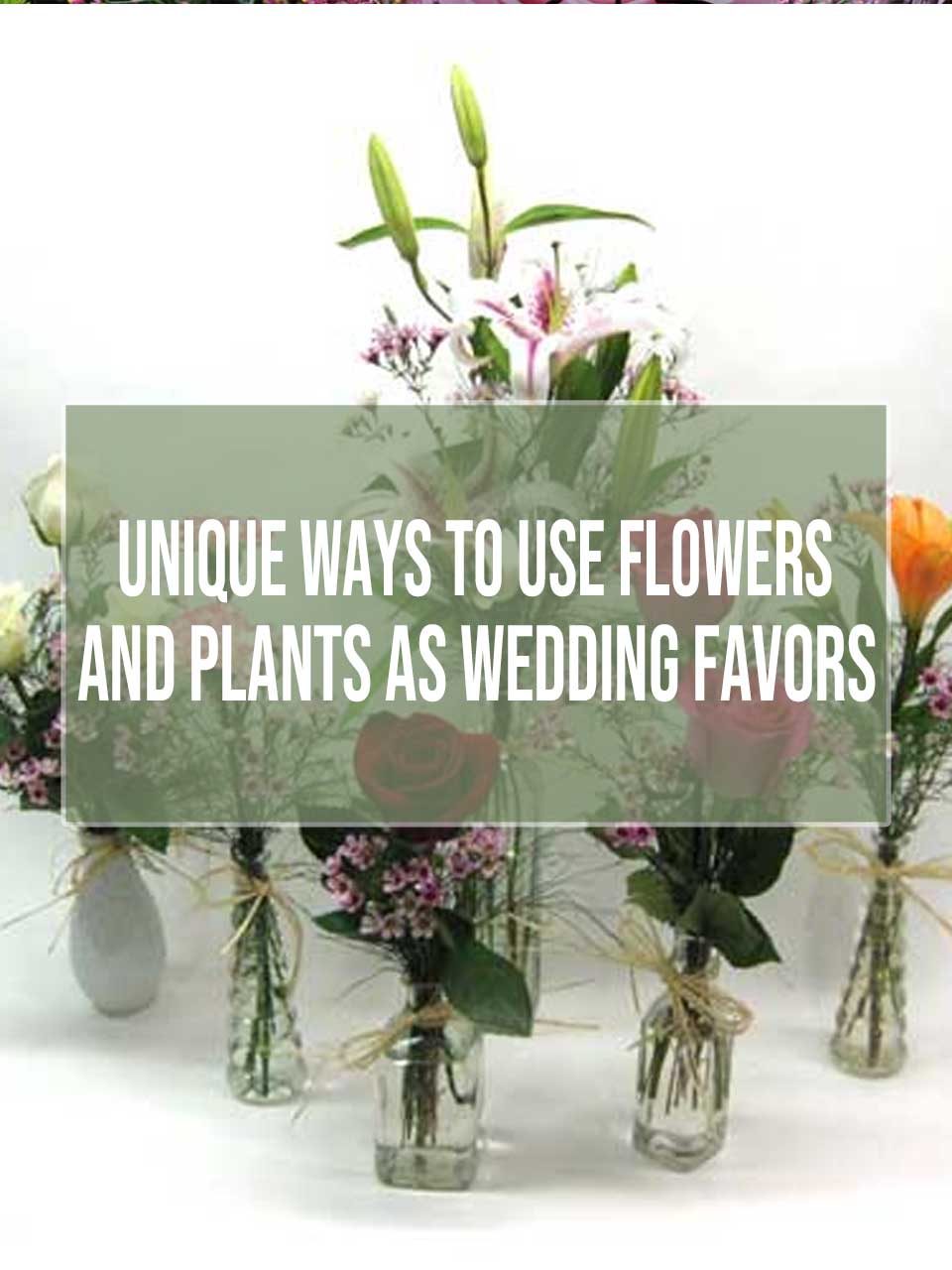 Unique ways to use flowers and plants as wedding favors