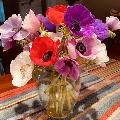 vase of anemones