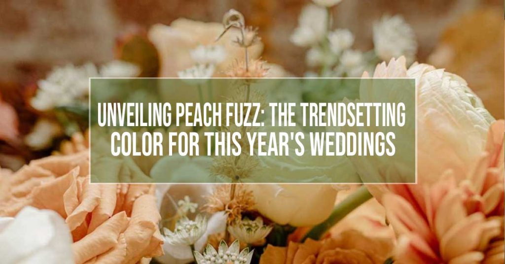 Peach Fuzz: Pantone 2024 Color of the Year