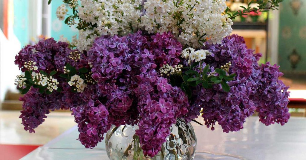 lilac flower arrangement